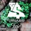 Ty Dolla $ign