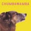 Chumbawamba