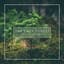 Deep Forest