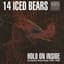 14 Iced Bears