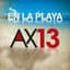 AX 13