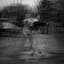 Josh Seabrook