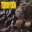 Terrorvision