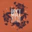 Gov't Mule