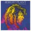 Robert Plant