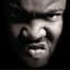 Gorilla Zoe