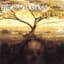 The Acacia Strain