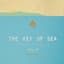 Chet Faker