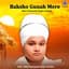 Baba Parampreet Singh Ji Khalsa