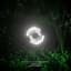 Black Sun Empire & Noisia
