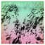The Spill Canvas