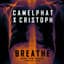 CamelPhat