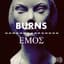 Burns