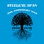 Steeleye Span