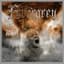 Evergrey