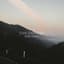 Roo Panes