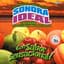 Marimba Orquesta Sonora Ideal