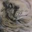 The Reticent