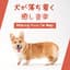 動物病院