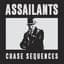 ASSAILANTS