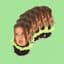 Freak Slug