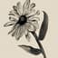 rudbeckia