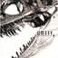 Boom Boom Satellites