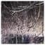 Eraldo Bernocchi, Harold Budd, Robin Guthrie