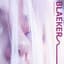 BLAEKER