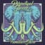 Perpetual Groove