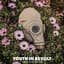 Youth in Revolt