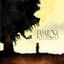 Emarosa