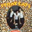 Stray Cats