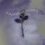 DVRKLXGHT