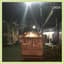 The Buoys