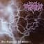 Katatonia