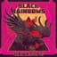 Black Rainbows