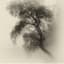 Benjamin Rhey