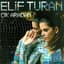 Elif Turan