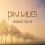 Pim Miles
