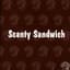 Scanty Sandwich