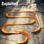 Compuphonic