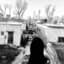 Generacion Suicida