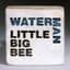 Little Big Bee