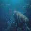 Aquasky