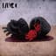 MUCC