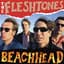 The Fleshtones