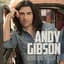 Andy Gibson