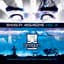 Noisia