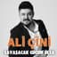 Ali Çini